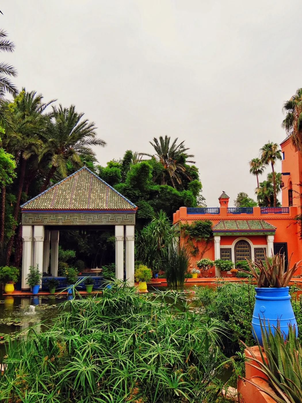 Strelitzia nicolai dans une villa marrakchie, tadelakt terracotta et lumière d'après-midi